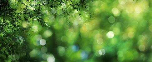 The lush greenery and soft bokeh creating a tranquil outdoor atmosphere. photo