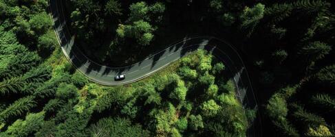 The winding road through a lush forest with a solitary car. photo
