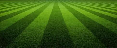 The lush green grass field with unique striped patterns creating a vibrant landscape. photo