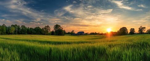 The serene sunset illuminating a green field in a tranquil rural landscape. photo