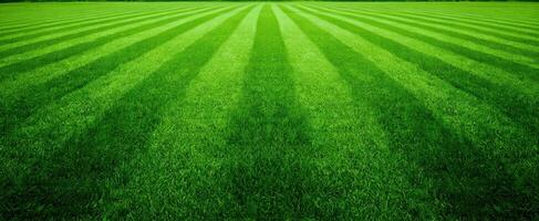 The lush green lawn with vibrant striped patterns under sunlight. photo