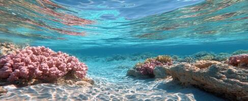 The serene underwater landscape featuring vibrant coral formations and crystal-clear water. photo