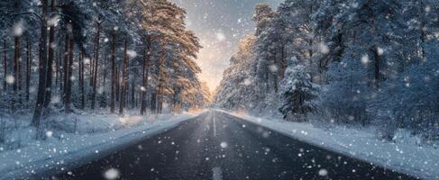 The captivating winter road surrounded by snow-covered trees and soft sunlight. photo
