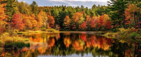 The serene lake surrounded by vibrant autumn foliage and colorful trees. photo