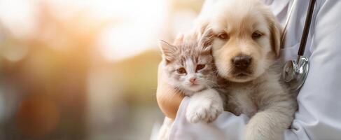 The veterinarian holds a puppy and kitten in a warm embrace. photo