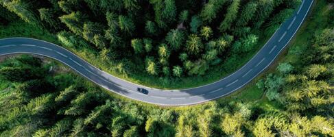 The winding road through a lush green forest captured from above. photo