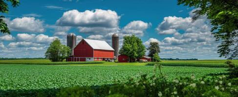 The vibrant red barn surrounded by lush green fields under a bright blue sky. photo