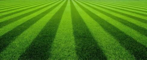 The vibrant green lawn with striped patterns creating a scenic outdoor landscape. photo