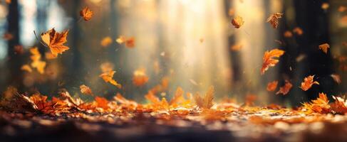The Falling Leaves Creating a Captivating Autumn Atmosphere in the Forest photo