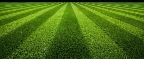 The Lush Green Field with Striped Pattern Under Bright Sunlight photo