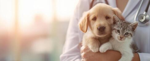 The puppy and kitten in the caring embrace of a veterinarian. photo
