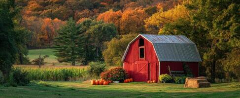 The vibrant red barn surrounded by autumn foliage and pumpkins at sunset. photo
