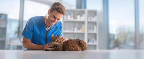 The veterinarian examining a happy cat during a routine checkup in the clinic. photo