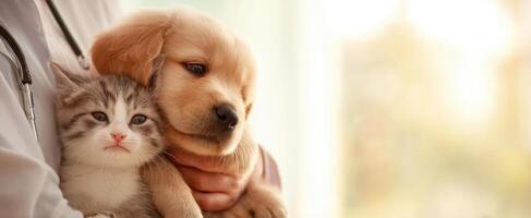 The adorable kitten and puppy share a loving moment in a veterinary setting. photo