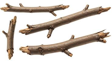 A set of four wooden sticks with different sizes photo
