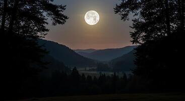 A full moon is seen over a valley with trees photo