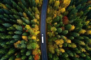 Road Through a Colorful Autumn Forest with Trees Changing Color from Above photo