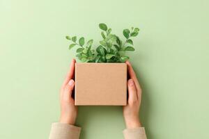 The Importance of Eco-Friendly Packaging for a Sustainable Future and a Greener Tomorrow photo