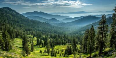 Green forest landscape with blue mountains in the distance on a beautiful day photo
