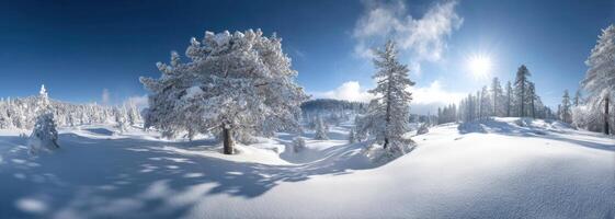 A Winter Wonderland Snow Covered Trees Under A Clear Blue Sky Landscape photo