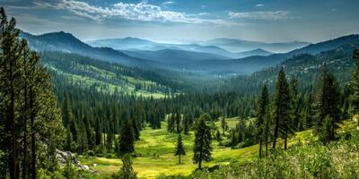 Lush Green Valley Landscape with Mountains and Evergreen Trees on a Sunny Day photo