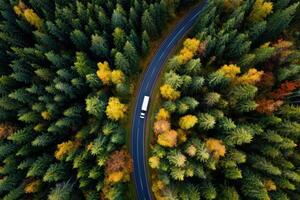 Road Journey Through Autumn Forest with Vehicle Capturing Nature's Serene Beauty From Above photo