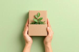 Embracing Green Living A Guide to Sustainable Practices and Eco-Friendly Choices for Everyday photo