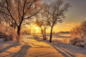 Winter Landscape Sunlight Through The Trees Makes For A Beautiful Christmas Morning View photo
