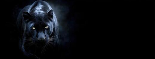 A Stunning Black Panther Portrait with Intense Gaze and Dark Background photo