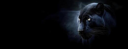 Majestic Black Panther in Shadowy Portrait Against a Deep Black Backdrop photo