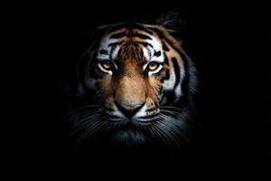 The Mysterious Tiger Gaze A Portrait of Wildlife's Untamed Beauty and Power photo