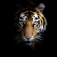 The Majestic Tiger Portrait A Glimpse Into The Soul of The Wild photo