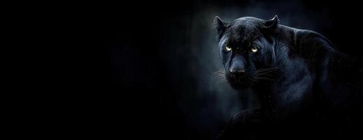 Majestic Black Panther Staring Boldly Into The Darkness Deep And Mysterious photo