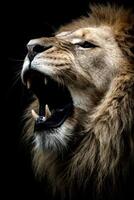 Majestic Roaring Lion Portrait In The Dark Mysterious Background photo