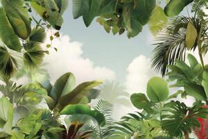 Lush Greenery Canopy Under a Cloudy Sky Viewpoint photo