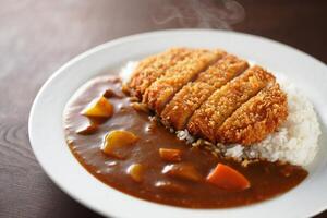 A plate of food with rice and curry on top photo