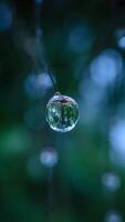 Nature s Lens Macro Photography of a Dewdrop Reflecting Trees and Green Bokeh photo