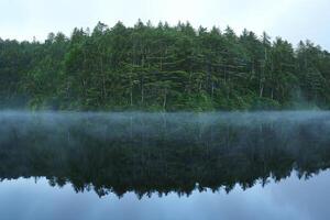 Nature Background Serene Mist Shrouded Lake Reflected in Tranquil Forest photo