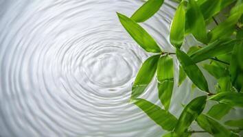 Nature Background Serene Bamboo Leaves on Tranquil Water Surface with Ripple Effect photo