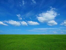 Nature Background Serene Green Field under a Vivid Blue Sky with Fluffy White Clouds photo