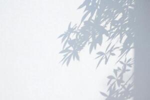 Flowers Background Abstract Light Grey Wall with Soft Leaf Shadows Botanical Minimalist Background Texture photo