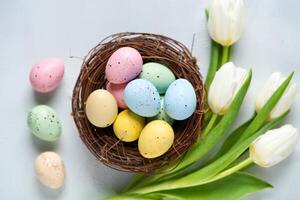 Flowers Background Pastel Easter Eggs in Nest with White Tulips Spring Holiday Decoration photo