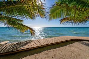 Beach Background Serene Tropical Beach Scene Wooden Dock Palm Trees Ocean View photo
