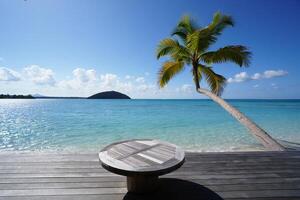 Beach Background Serene Tropical Beach Scene Ocean View with Palm Tree and Wooden Table photo