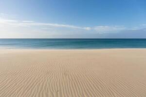Beach Background Serene Beach Scene Golden Sand Texture Palm Tree Shadows Ocean View photo