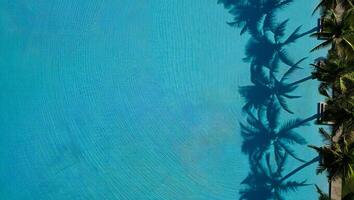 Beach Background Aerial View of Turquoise Pool with Palm Tree Shadows Summer Vacation Resort photo