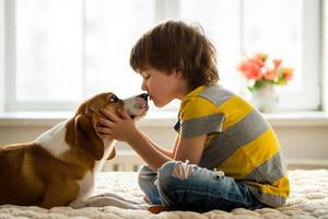 Dog Background Adorable Young Boy Gently Kissing His Beagle Dog on a Cozy Bed photo