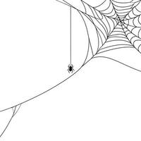 Halloween Background Halloween Spiderweb Design Intricate Cobweb with Spider Silhouette Perfect for Autumn Decor photo