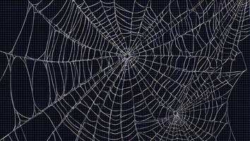 Halloween Background Intricate Spiderweb Texture on Dark Background Halloween Nature Design Element photo