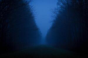Halloween Background Mysterious Foggy Path at Dusk Dark Trees Eerie Atmosphere Nature Scene photo